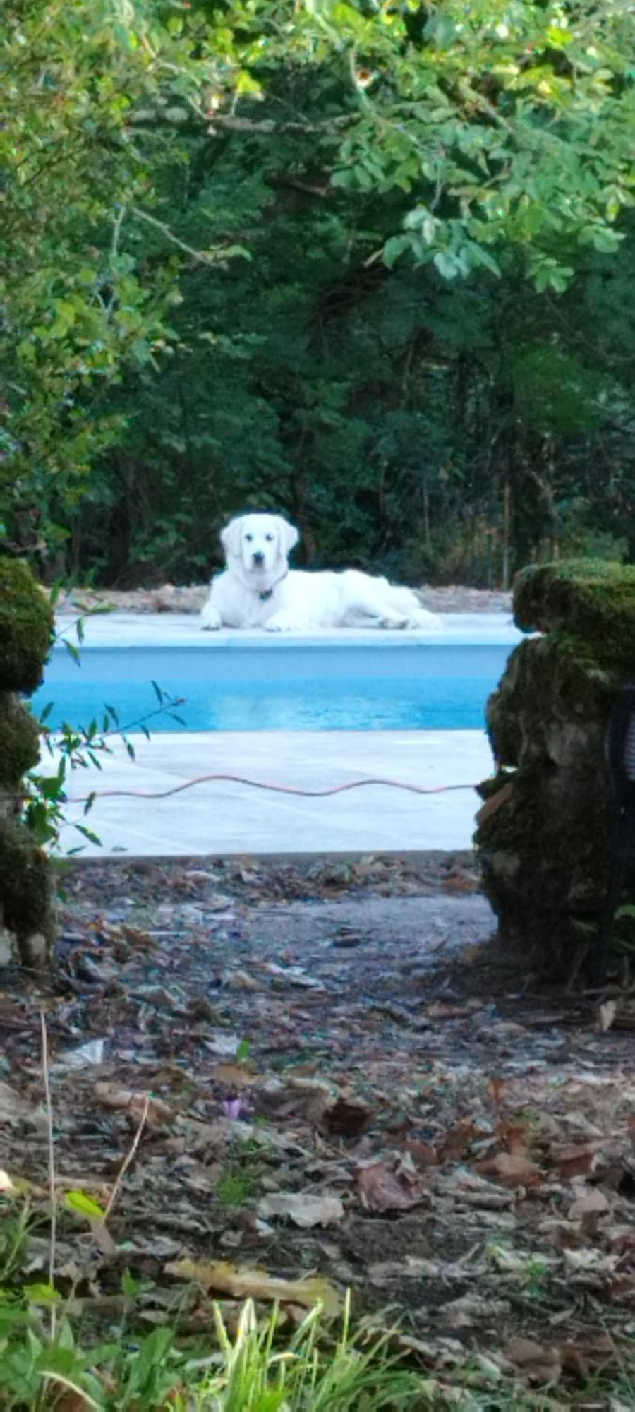 La Rossignolerie - La Familiale Vigneronne Bed and Breakfast Chouzy-sur-Cisse Exteriör bild