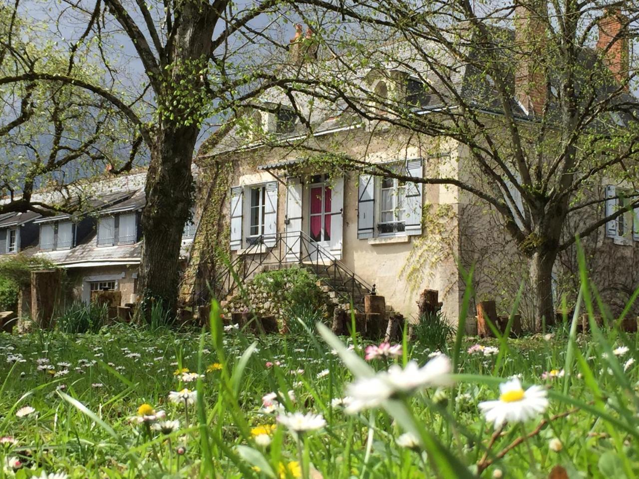 La Rossignolerie - La Familiale Vigneronne Bed and Breakfast Chouzy-sur-Cisse Exteriör bild